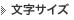 文字のサイズ